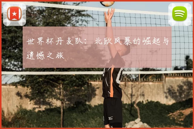 世界杯丹麦队：北欧风暴的崛起与遗憾之旅