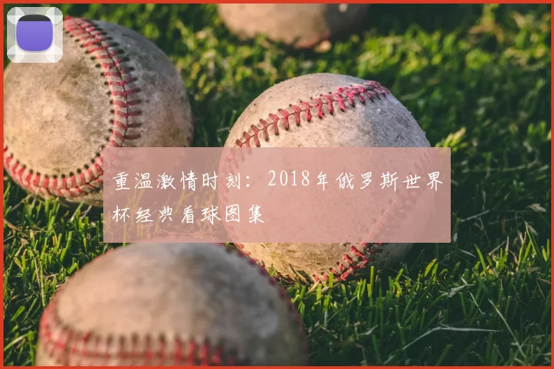 重温激情时刻:2018年俄罗斯世界杯经典看球图集