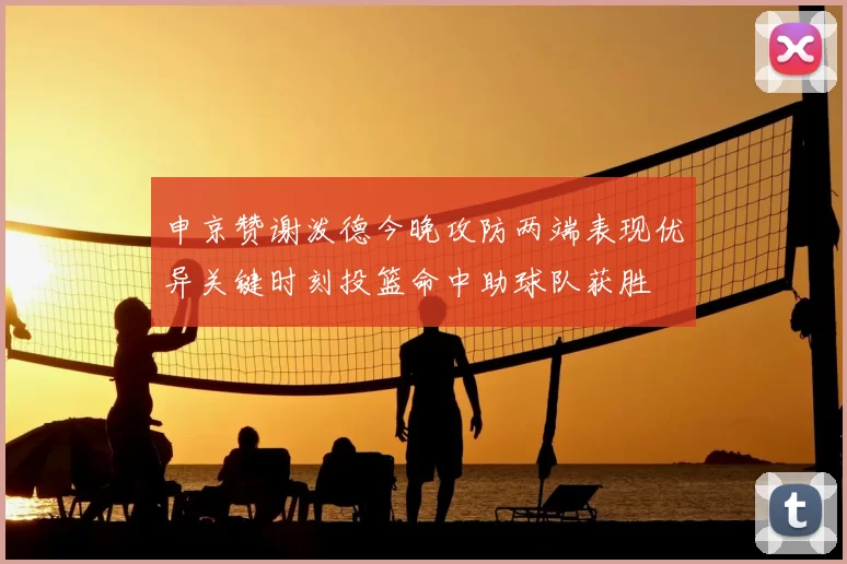 申京赞谢泼德今晚攻防两端表现优异关键时刻投篮命中助球队获胜