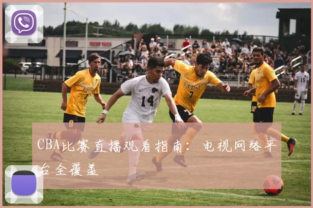 CBA比赛直播观看指南：电视网络平台全覆盖