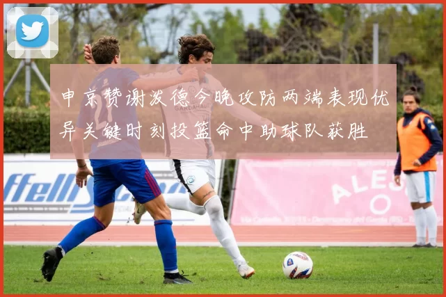 申京赞谢泼德今晚攻防两端表现优异关键时刻投篮命中助球队获胜