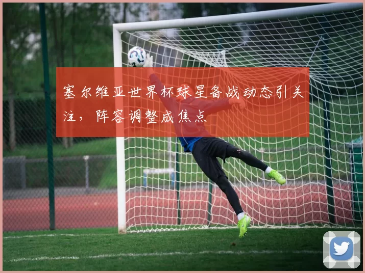 塞尔维亚世界杯球星备战动态引关注,阵容调整成焦点