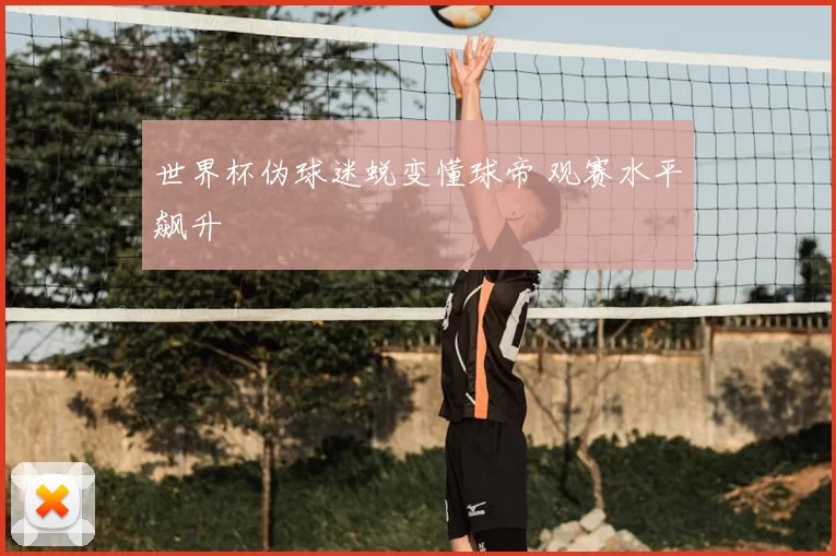 世界杯伪球迷蜕变懂球帝 观赛水平飙升