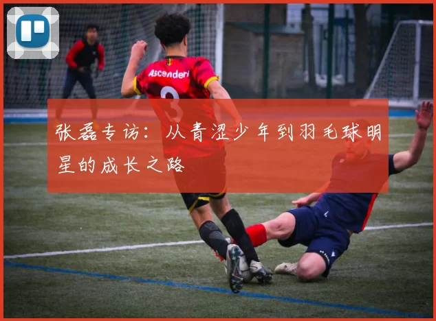 张磊专访:从青涩少年到羽毛球明星的成长之路