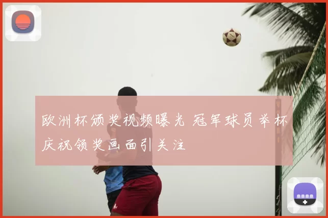 欧洲杯颁奖视频曝光 冠军球员举杯庆祝领奖画面引关注