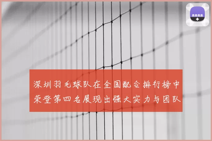 深圳羽毛球队在全国配合排行榜中荣登第四名展现出强大实力与团队合作精神