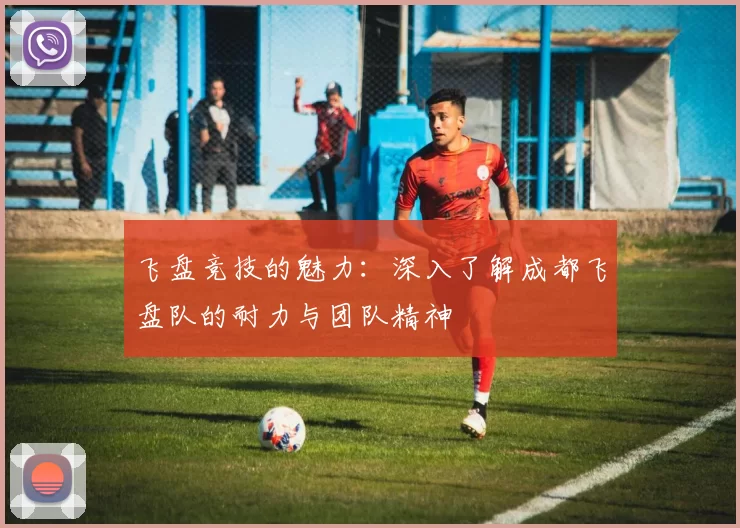 飞盘竞技的魅力:深入了解成都飞盘队的耐力与团队精神