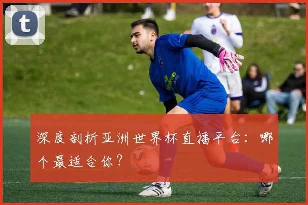 深度剖析亚洲世界杯直播平台:哪个最适合你?