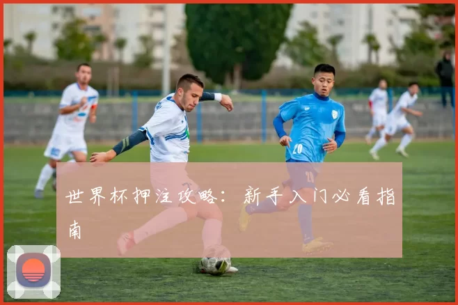 世界杯押注攻略:新手入门必看指南