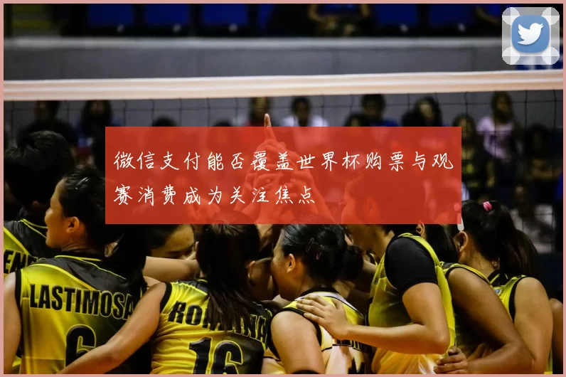 微信支付能否覆盖世界杯购票与观赛消费成为关注焦点