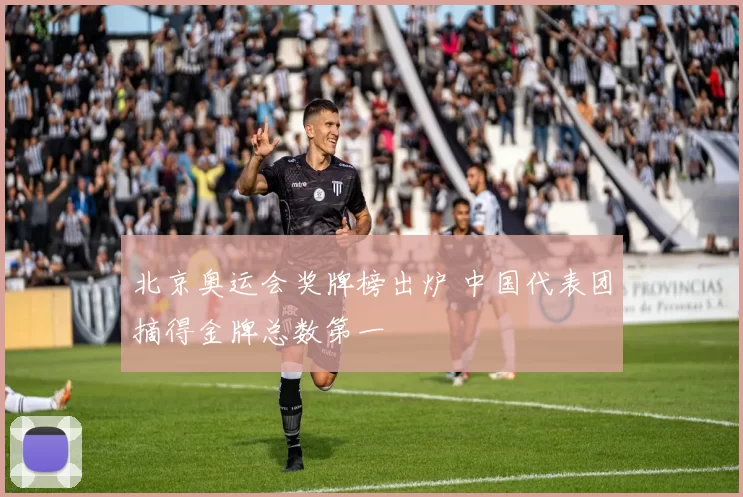 北京奥运会奖牌榜出炉 中国代表团摘得金牌总数第一